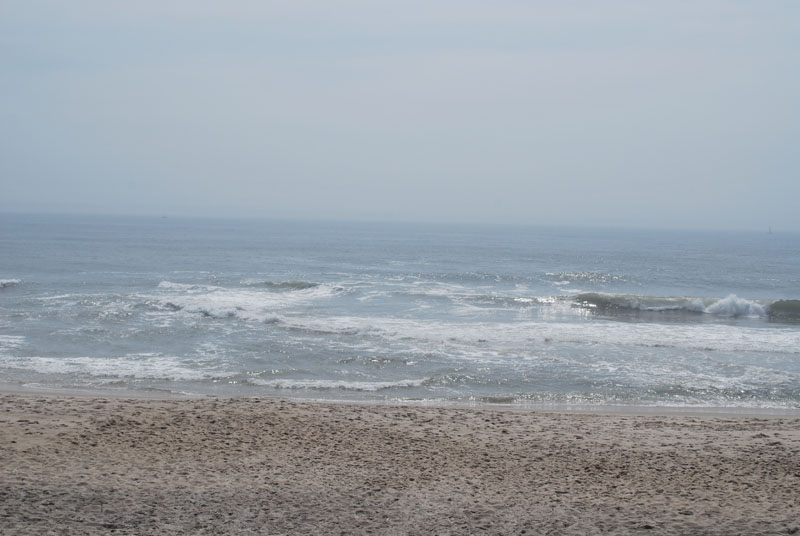 DSC_2552