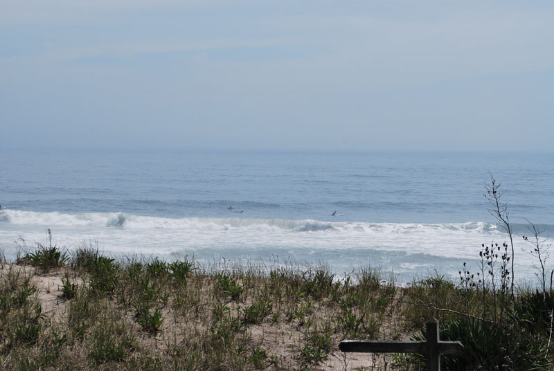 DSC_2560