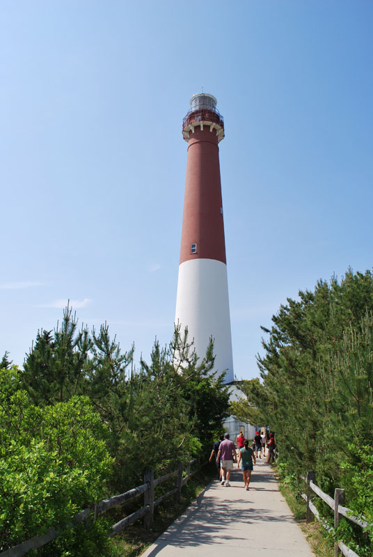 DSC_2595