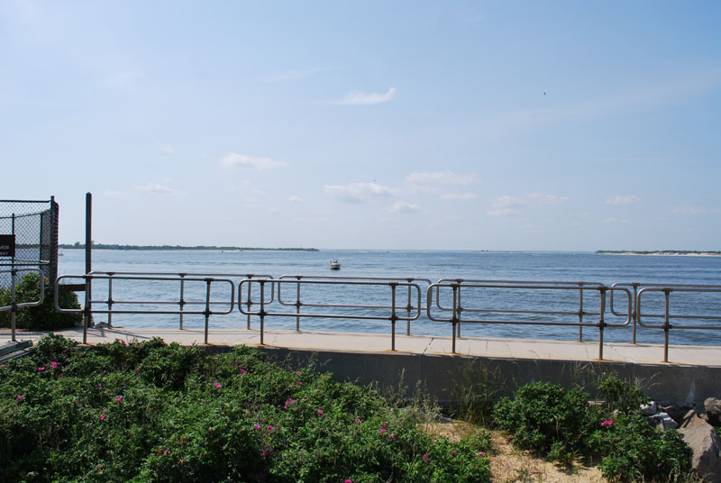 DSC_2604